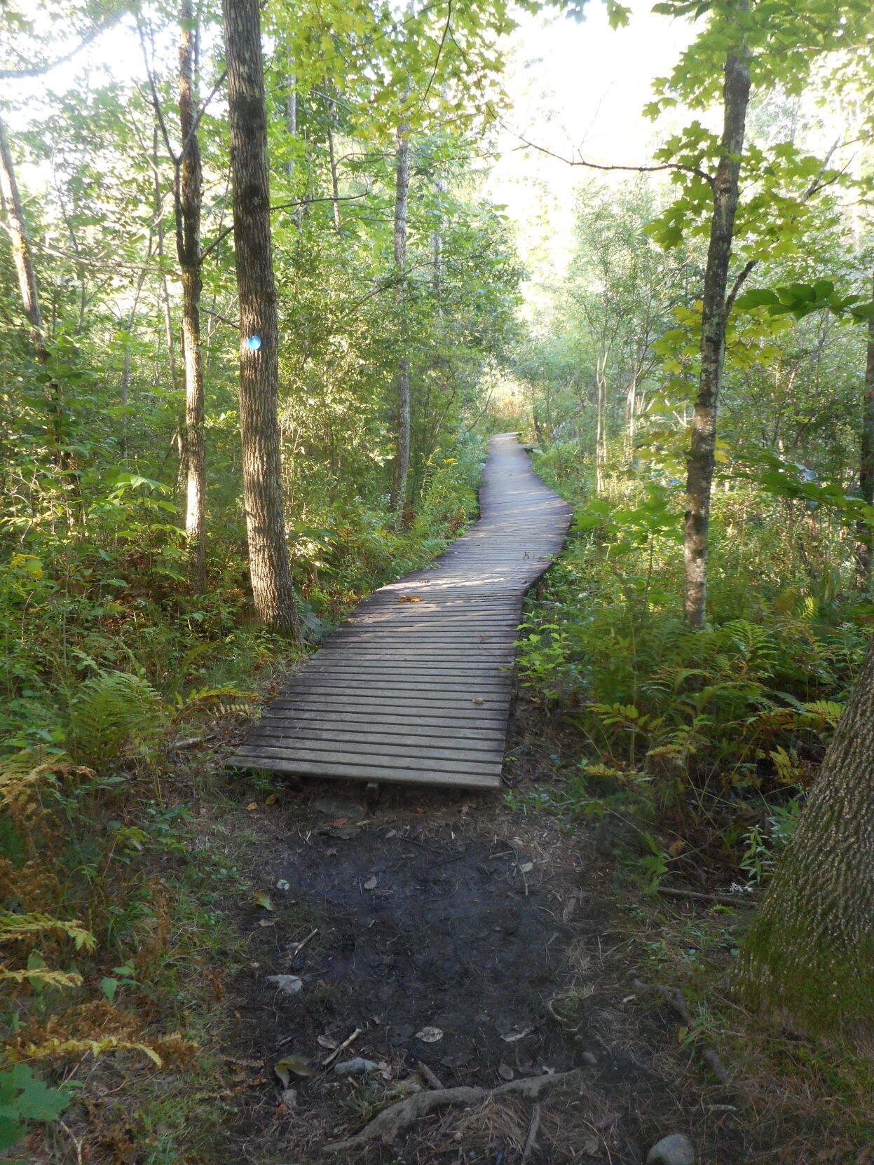 PV Pike's trail walkway